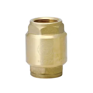 Válvula Check 1/2" Pulgadas Fundición Pacífico